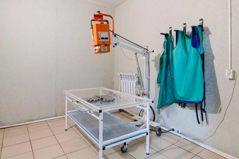 Альфа, ветеринарная клиника