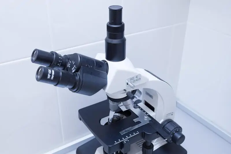 Слон, ветеринарный центр