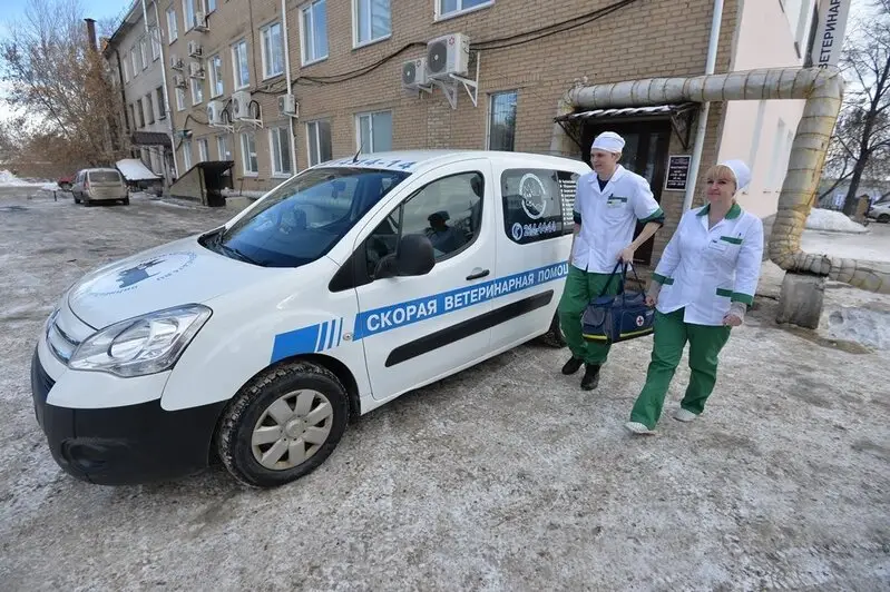 Челябинская городская ветеринарная станция по борьбе с болезнями животных