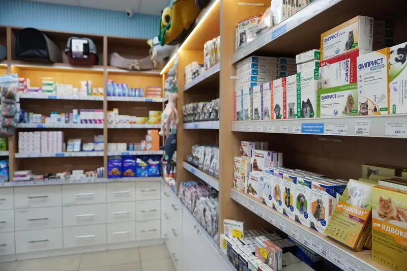 Честер, ветеринарная клиника