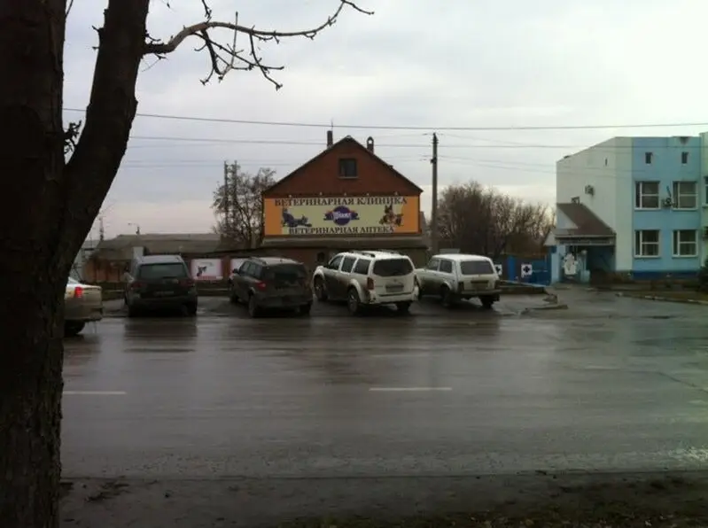 ВИТА, ветеринарная клиника