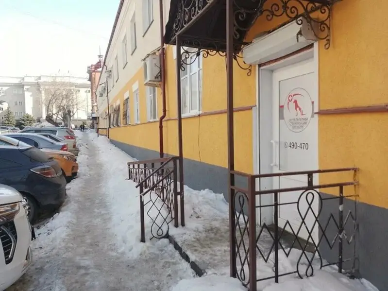 Центр льготной стерилизации животных