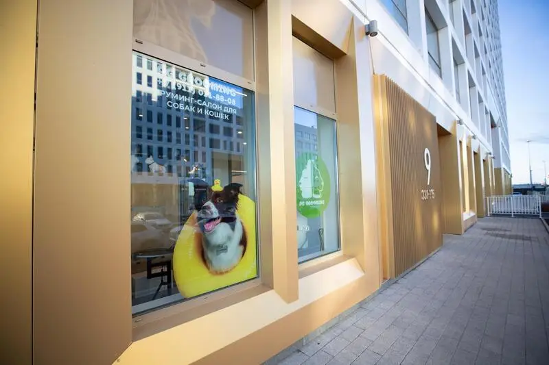 Студия груминга Pg grooming