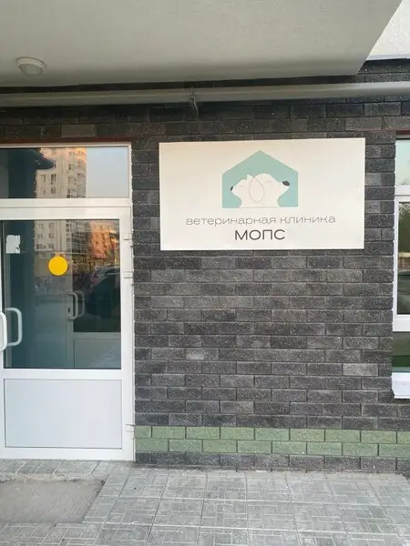 Мопс, ветеринарная клиника
