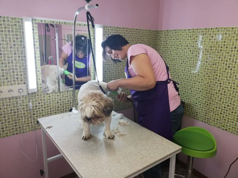 Зоосалон Хвостовиль на улице Строителей в Котельниках