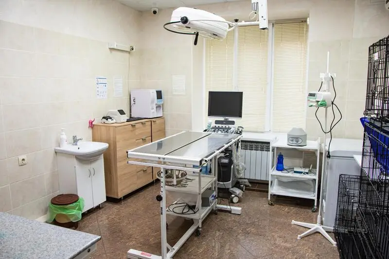 Добрые руки, ветеринарный центр