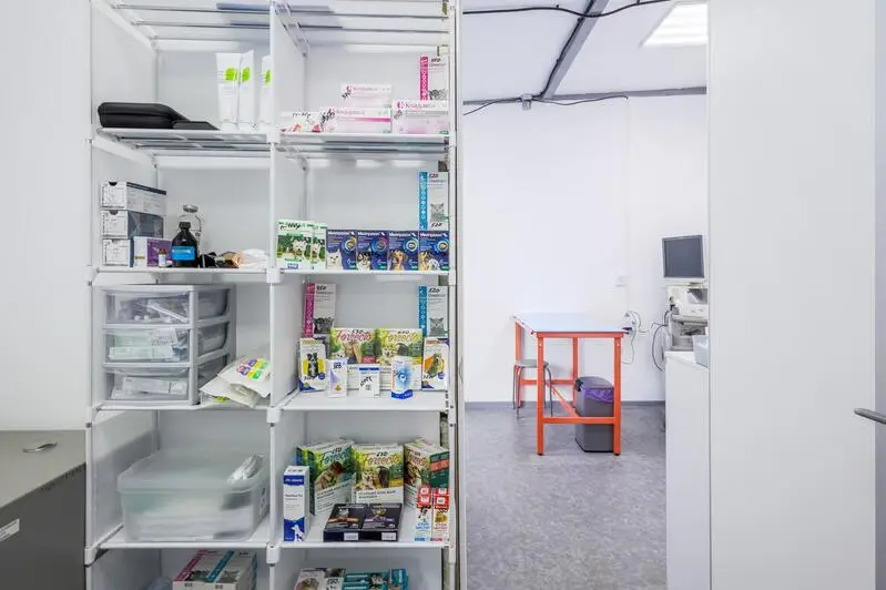 Ковчег, ветеринарная клиника