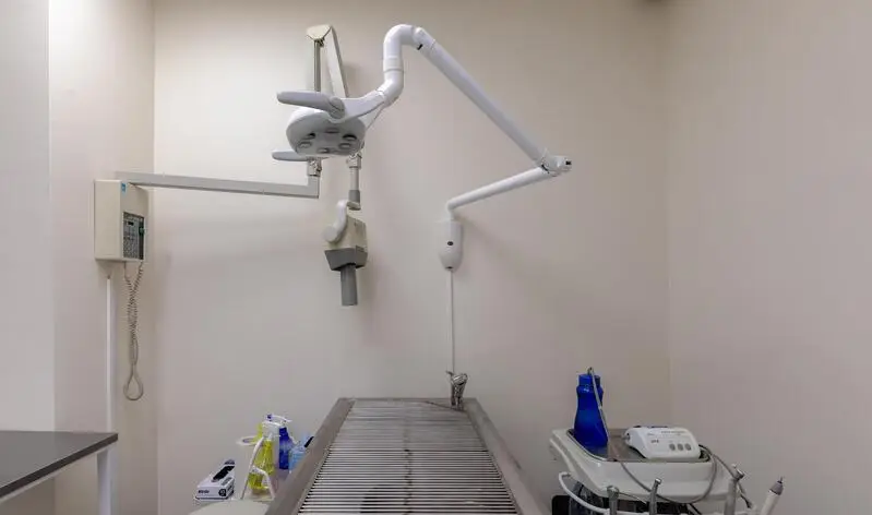 Ситивет, ветеринарный центр