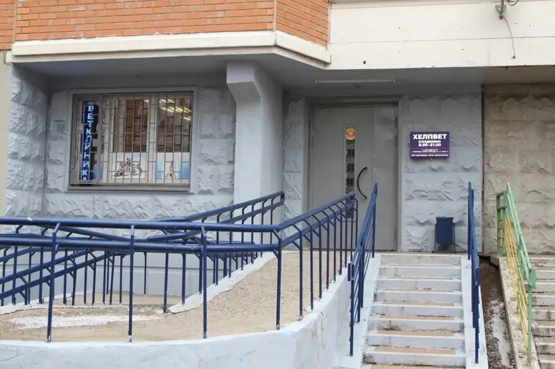 Хелпвет, ветеринарная клиника