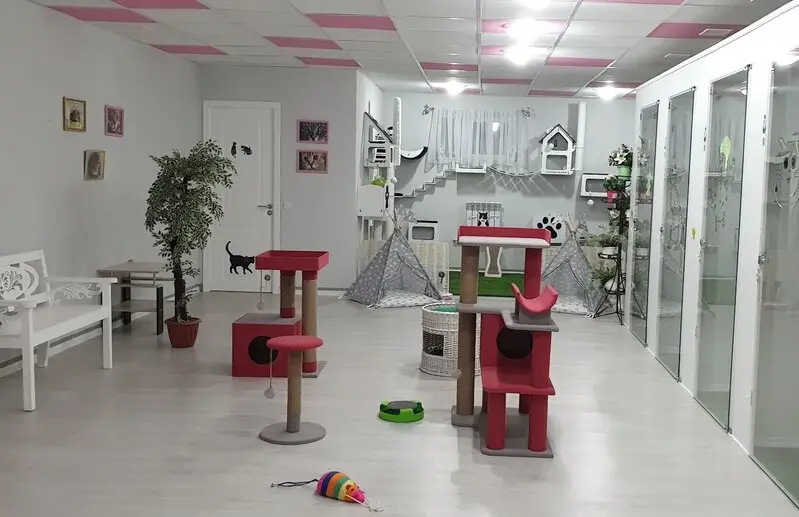 Гостиница для кошек CAT CITY в Сормовском районе