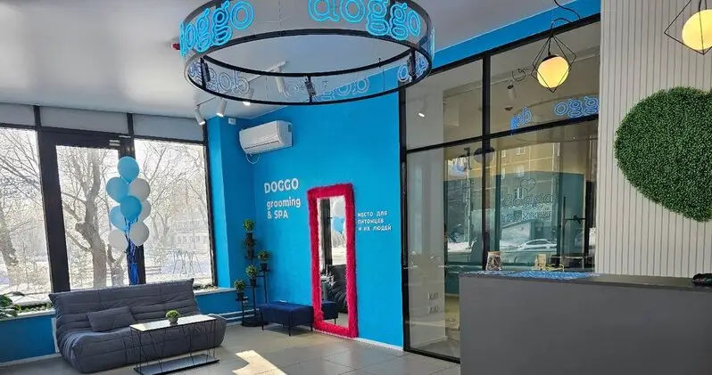 Груминг-салон Doggo