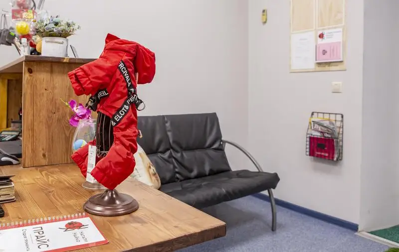 Студия груминга Натали Найко