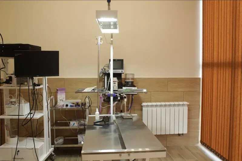 ПланетаВет