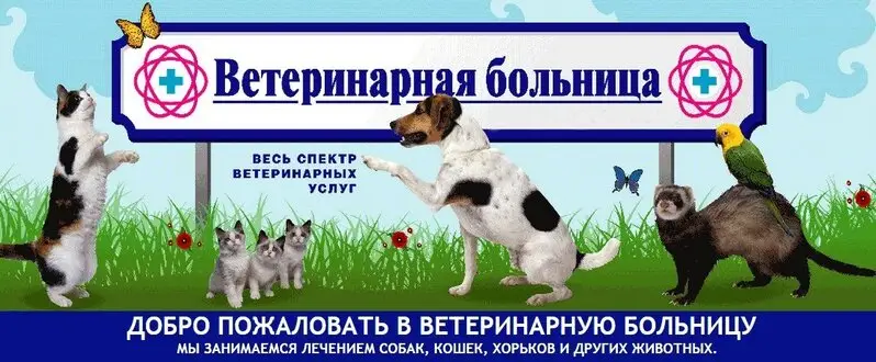 Ветеринарная больница