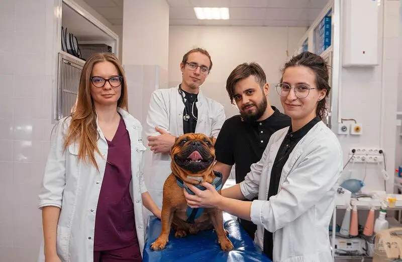 Вега, ветеринарная клиника