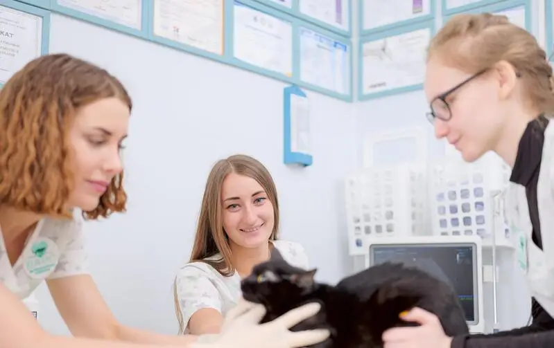 Барсель, ветклиника