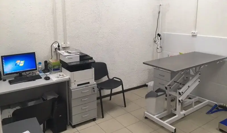 Бетховен, ветеринарная клиника