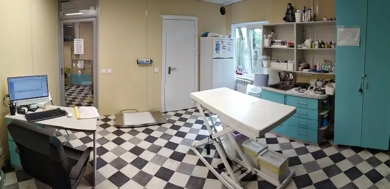 ВитаВет, ветеринарная клиника