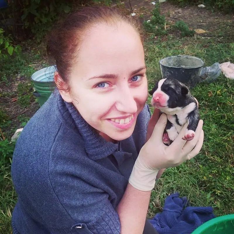 Зоосалон Veles.vet