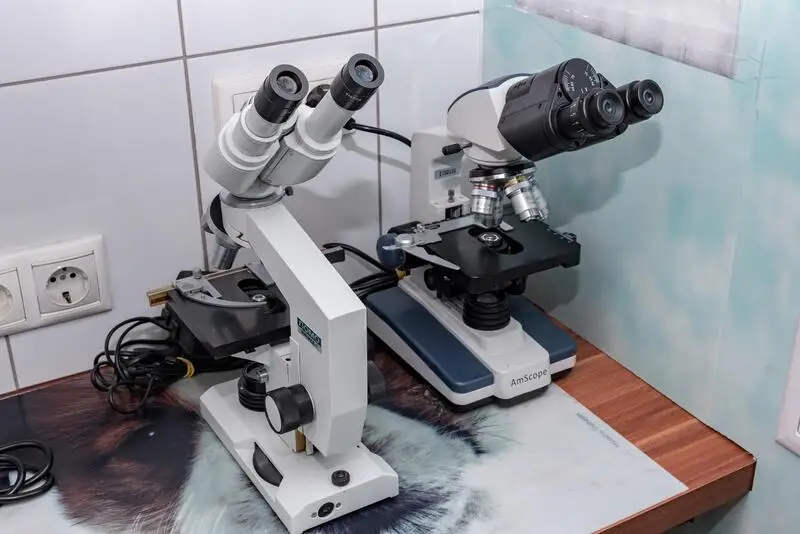 ZooLife, ветеринарная клиника