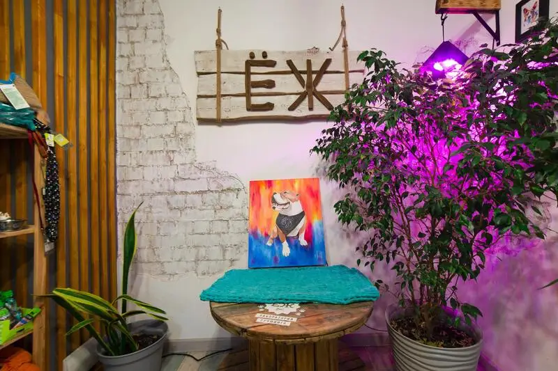 Студия груминга Ёж