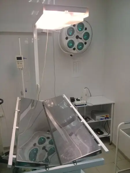 Дзержинская Ветлечебница