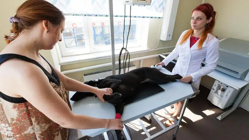 Клиника Доктора Асбьёрна