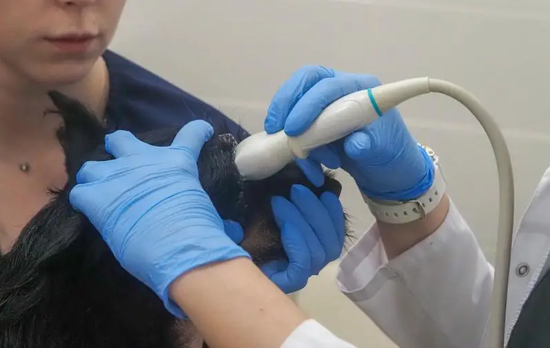 Веда, ветеринарная клиника