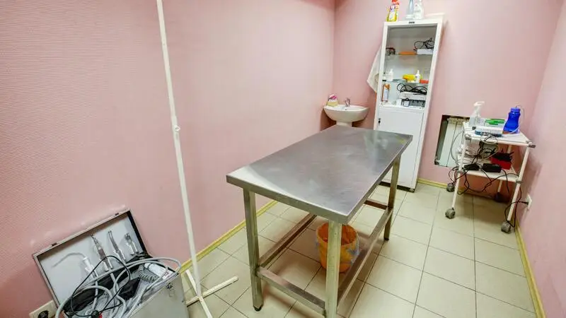 Вет Плюс, ветеринарная клиника