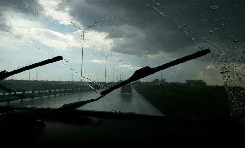 Зоомаркет Лента