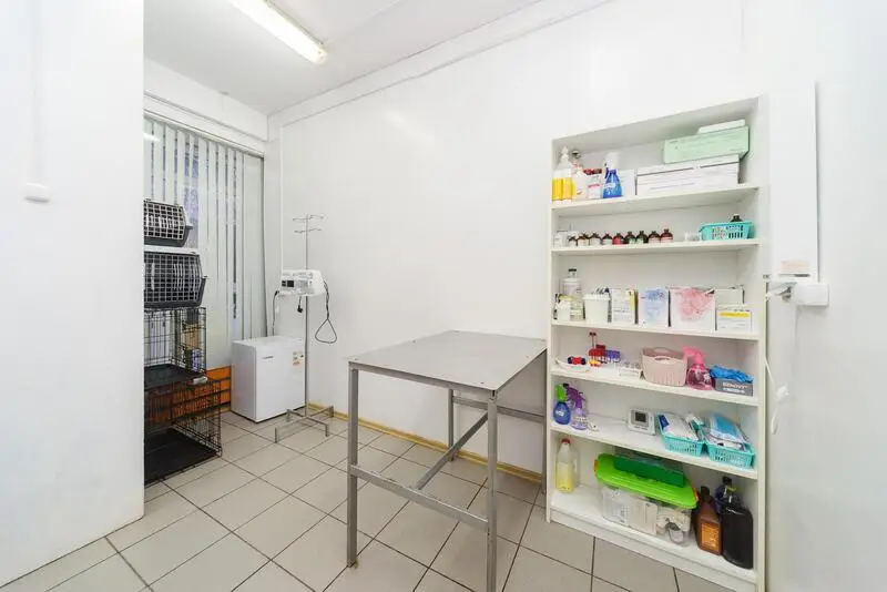 Берта, ветеринарная клиника