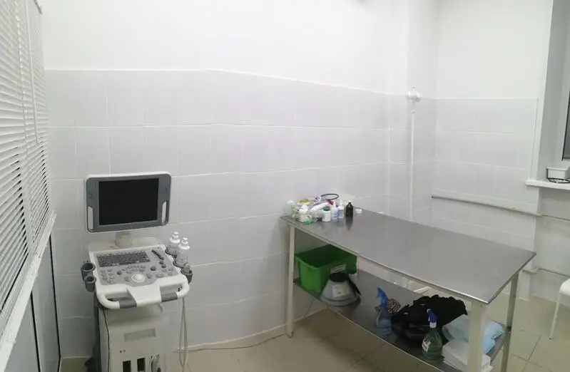 Нижегородский Ветеринарный Центр