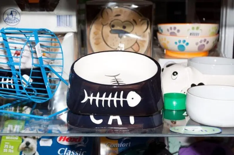 Molli, ветеринарный центр