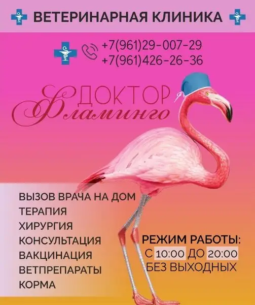 Доктор Фламинго, ветеринарная клиника