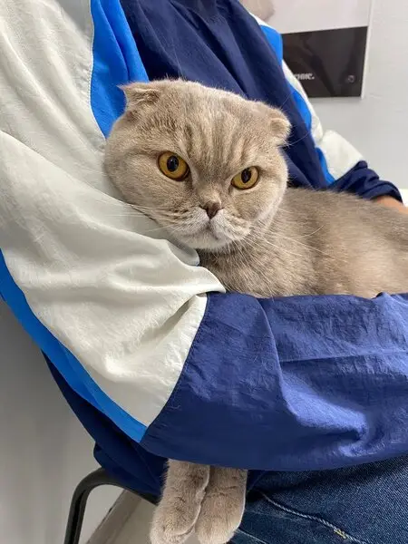 Альфа-Вет, ветеринарный кабинет