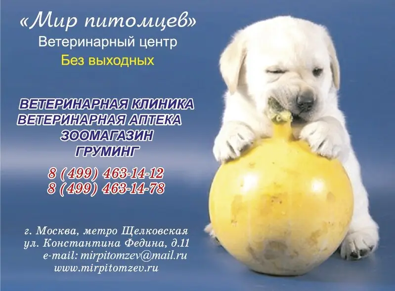 Мир питомцев, ветеринарная клиника