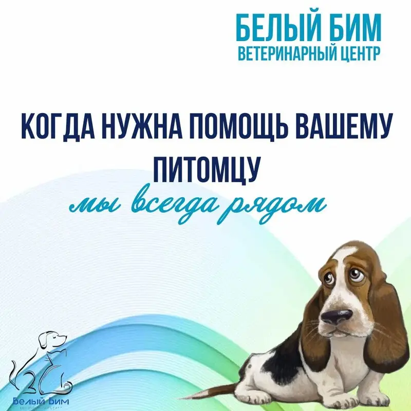 Ветеринарный центр Белый Бим на метро Балтийская