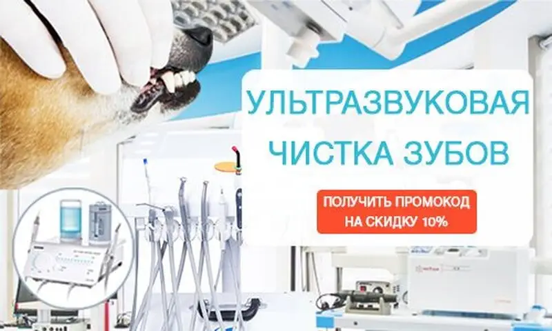 Зоомедик, ветеринарный центр