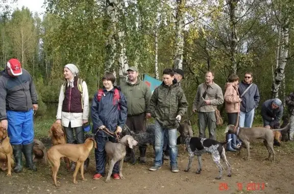 Клуб Кронверкский на Петроградской стороне