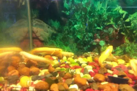 Зоомагазин на улице Труда