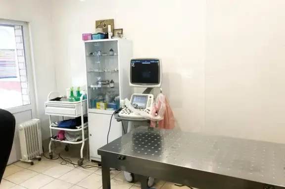 Ветеринарная клиника Пантера в Соломбальском округе