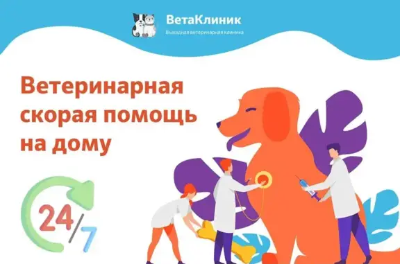 Вета, выездная ветеринарная клиника
