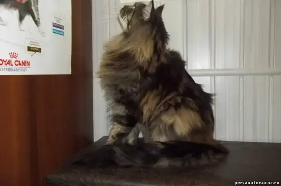 Persanator, ветеринарная клиника