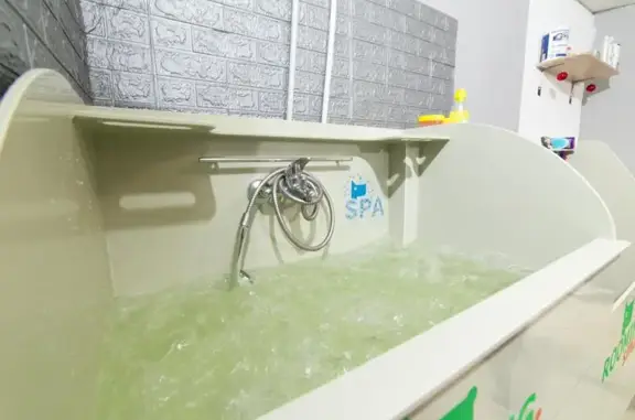 Груминг-салон Лапа