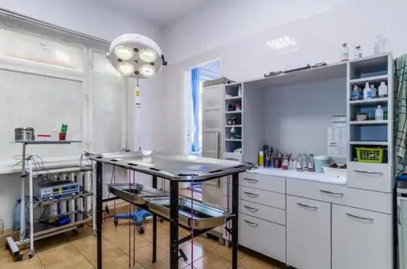 Ветеринарная клиника АВ-Айболит в Центральном районе