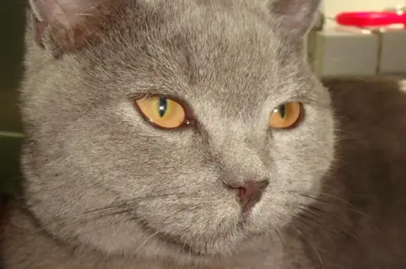 Доверие, ветеринарная клиника