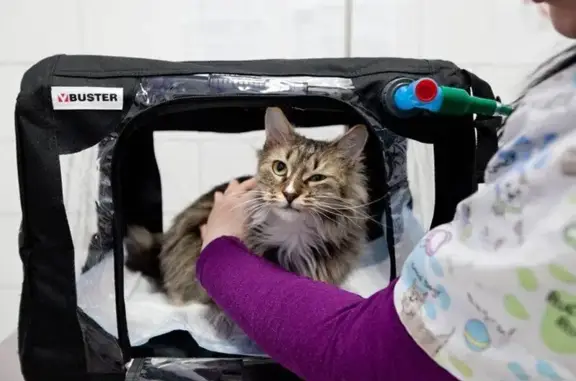 Ветеринарная клиника Любимчиквет на Хорошой улице, 2