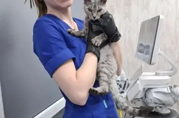 Вайт, ветеринарная клиника