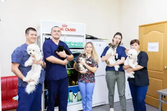 Ветеринарная клиника Солнечная