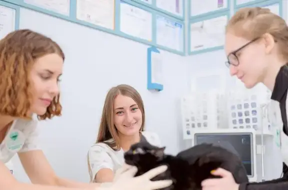 Барсель, ветклиника